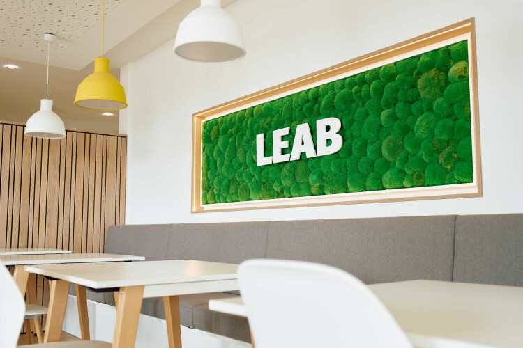 Greened wall area with LEAB lettering.